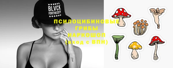 прущие крисы Алексин