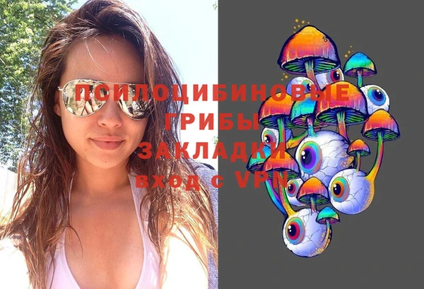прущие крисы Алексин