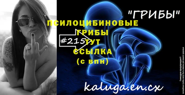 бошки Абдулино